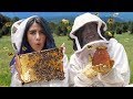 AYUDAMOS A 360 MIL ABEJAS  | POLINESIOS VLOGS