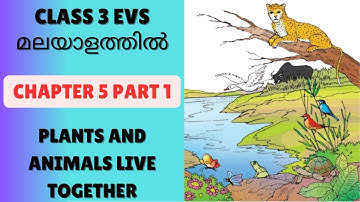 CHAPTER 5 - PLANTS AND ANIMALS LIVE TOGETHER  PART 1 : CBSE/KV CLASS 3 EVS (NCERT TEXTBOOK)