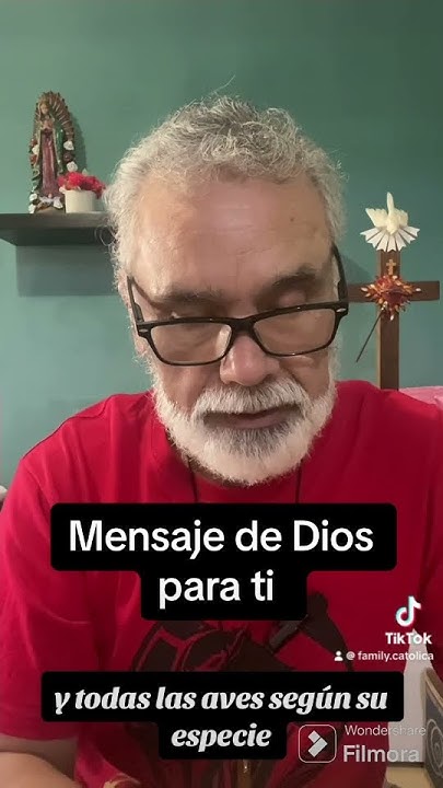 mensaje-de-dios-para-ti-g-nesis-1-20-23-amor-catolicoporelmundo