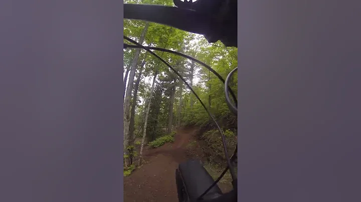 Copper Harbor: Danimal - Full DH (June 2022)