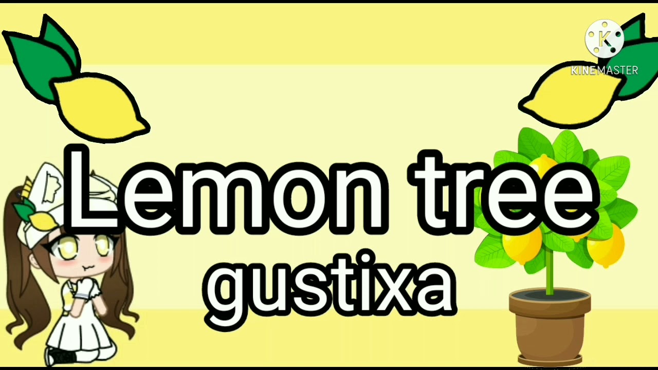 lemon tree + terjemahan versi 1 jam YouTube