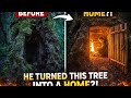 🔥 HE TURNED THIS TREE INTO A HOME?! #viral #trending 