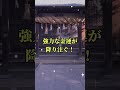 この動画にたどり着いたとき、奇跡が起こる! 強力な金運が降り注ぐ【高屋神社】