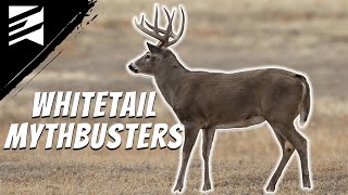 BUSTING Whitetail Myths with Dr. Bronson Strickland