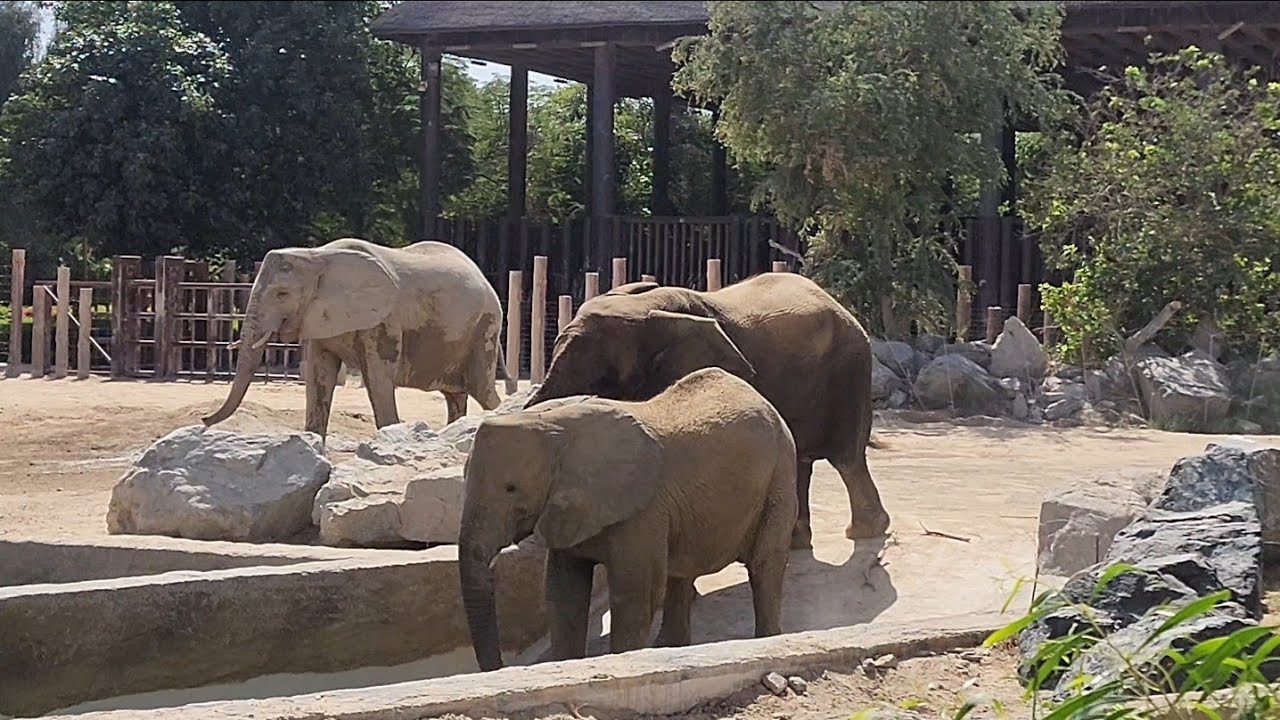 Dubai safari park