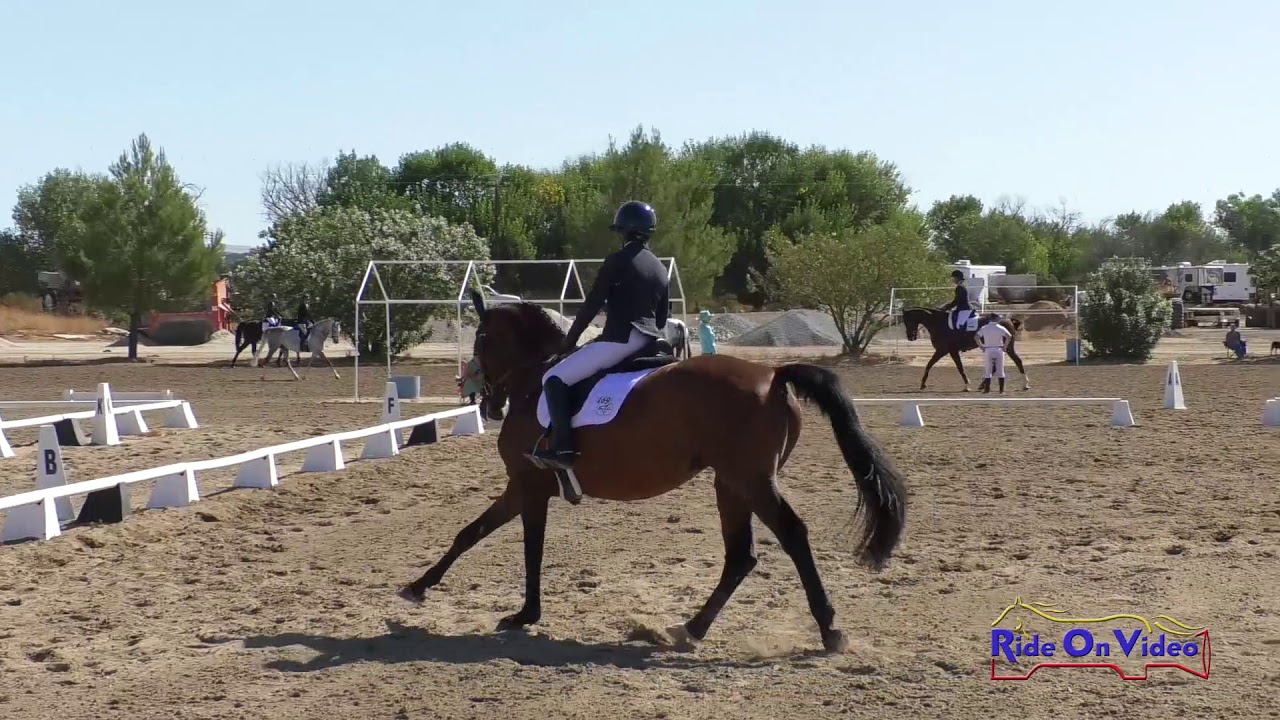 horseshoe bend 169D Lauren Billys on Twilight 54 Open Training Dressage Twin Rivers Ranch Sept. 2019