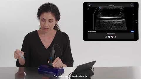 Ultrasound Education: Needle Viz™ with Butterfly iQ+