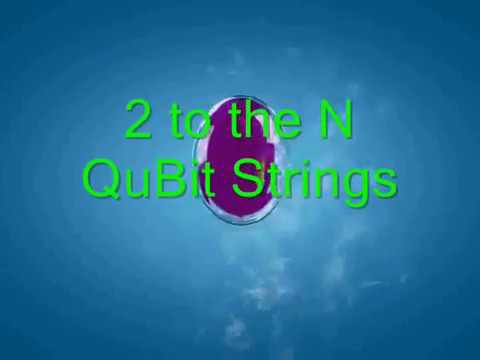 Quantum algorithm & Quantum Software Models