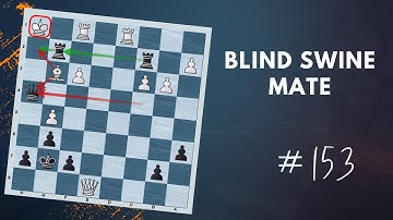 Blind Swine Mate (And It