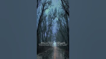 قران كريم|حالات واتساب|ماتيسر من"سورة الانبياء"الايه(87)القارئ ادريس ابكر❤️