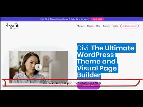 #1.-divi-professional-wordpress-theme---best-premium-simple-wp-themes-pro