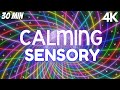 Sensorys for autism calming rainbow visuals to relax and de stress