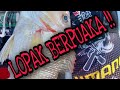 LOPAK BERPUAKA!!!