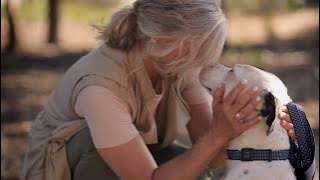 Patch & Purr Pet Cremations