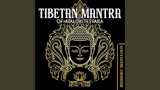 Rhythm in Stillness