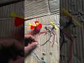 Motor Speed Control Free Energy Pawar dc motor #project #electricmotor #diy #experiment