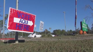 Early voting in the 2026 primary election begins on Tuesday in Texas Wealth