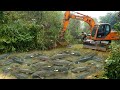 Fishing Exciting: Use Large Excavator Catch Many Of Fish, Capacity Pump Suck Water Catch Fish