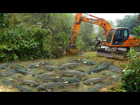 Fishing Exciting: Use Large Excavator Catch Many Of Fish, Capacity Pump Suck Water Catch Fish