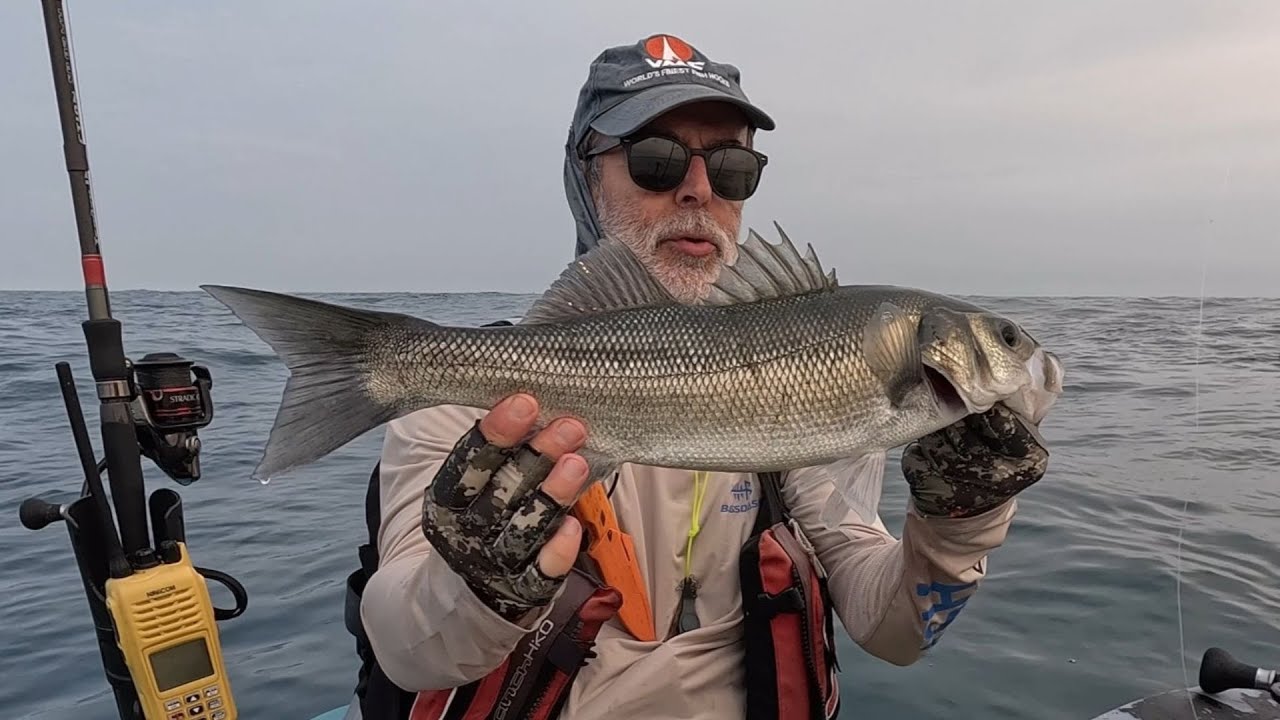 Pêche aux leurres - doublé de poissons sur le même leurre !