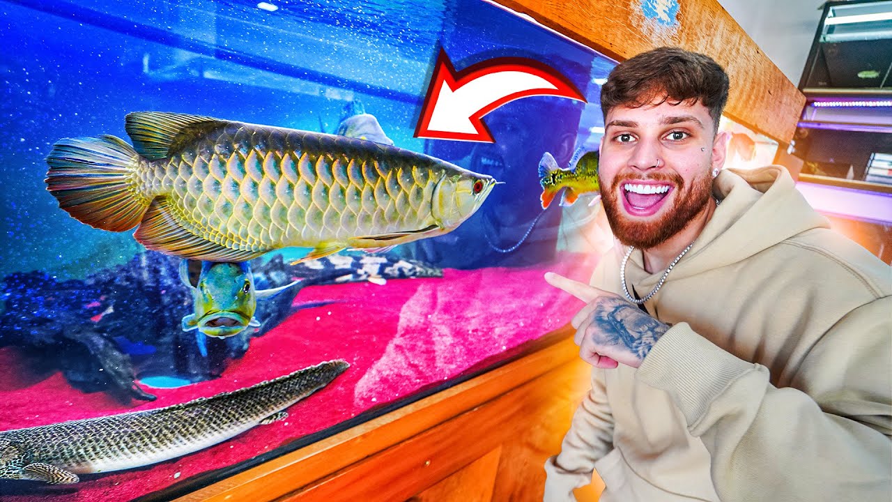 COMPREI O PRIMEIRO PEIXE PRO MEU LAGO DE CARPAS 😍🙏🏻