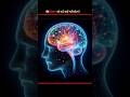 🧠 दिमाग को दर्द क्यों नहीं होता? #AmazingFacts#BrainFacts#ScienceFacts#HumanBrain#DidYouKnow#Shorts