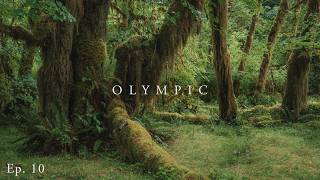 Rainforest Photography and a Bear Encounter in Olympic National Park