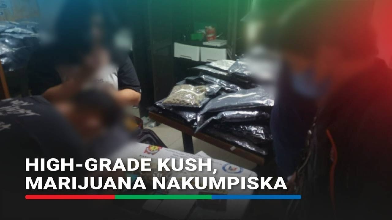 P43M high-grade kush, marijuana nasabat | ABS-CBN News