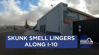 Phoenix city inspectors investigate 'skunk' smell on I-10