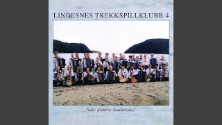 Video thumbnail of "Lindesnes Trekkspillklubb - Vigelandsvalsen"
