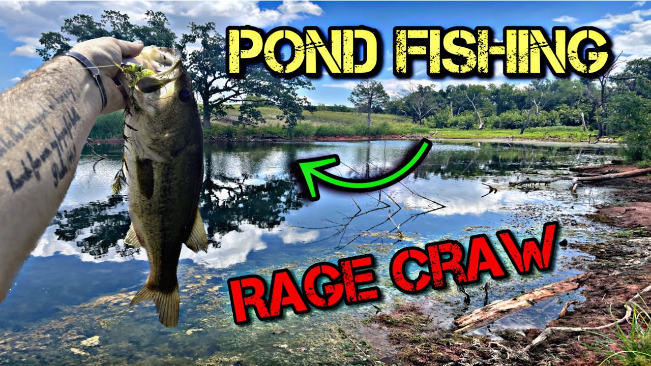 fishing in weeds Bass Manager The Best Bass Fishing Page On The