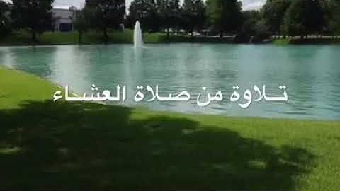 تلاوة من صلاة العشاء. الشيخ مصطفى الفرجاني من ليبيا