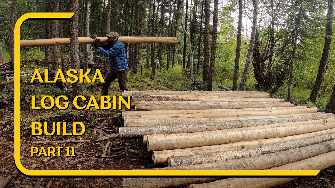 Building my DIY Alaska Off Grid Cabin in the forest ASMR - YouTube