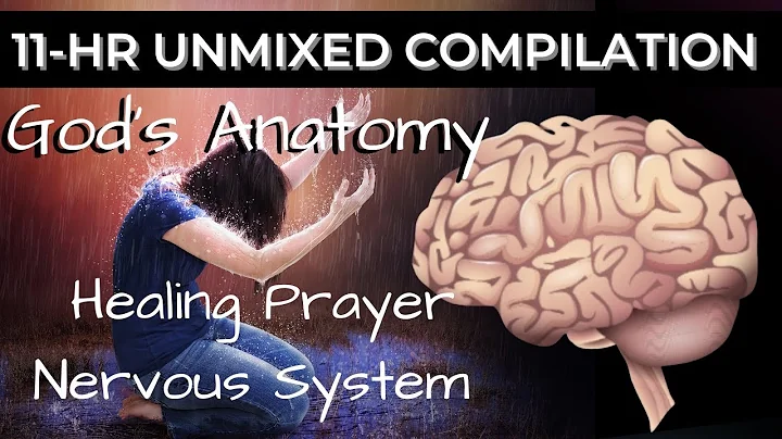 11 Hour UNMIXED Compilation | How To Speak Healing Upon Your Body |Prayer For the Nervous System