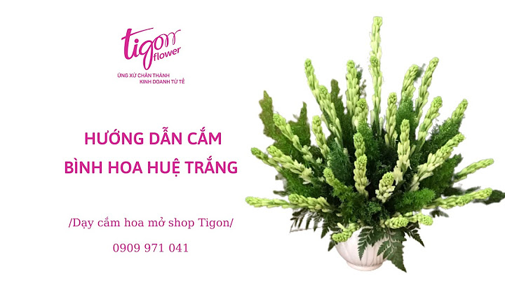 Hướng dẫn cắm hoa huệ trắng