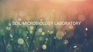DEMONSTRATION OF COLLECTING SOIL SAMPLE, RHIZOSPHERE AND ROOT FIELD SAMPLE