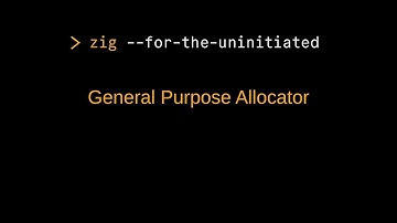 Zig for the Uninitiated: General Purpose Allocator