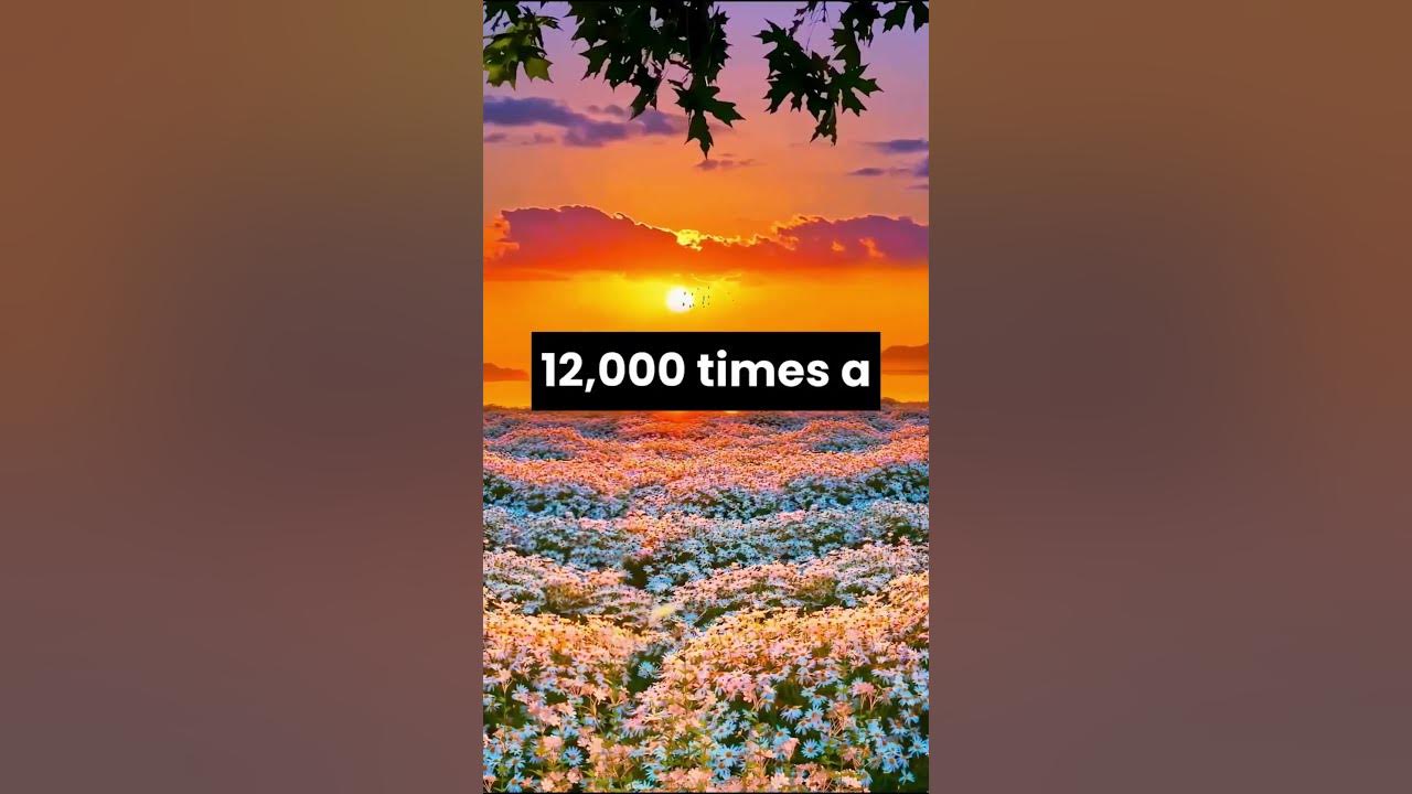 Reciting SubhanAllah 100 Times A Day Equals 1000 Good Deeds Or The reciting-subhanallah-100-times-a-day-equals-1000-good-deeds-or-the