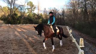 Leg Yields and Stretch bc Trot for Connection, Dressage Schooling Exercises
