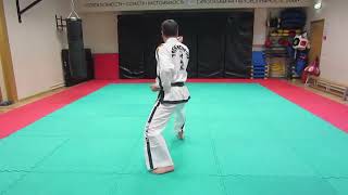 24. 6-й Дан. Тонг-Ил Туль / Tong Il Tul (Pattern) - Taekwon-Do ITF. Master Ri Yong Il (DPRK).