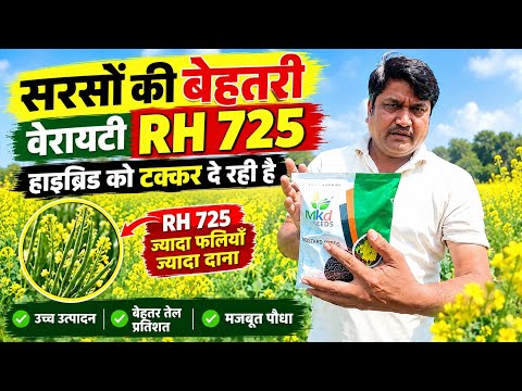 Watch This Before Sowing Mustard! 💥 RH-725 Seeds Unboxing & Complete Details