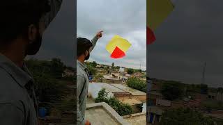Basant || Lahore Basant || Kite flying ||