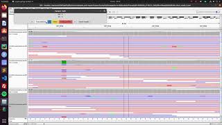 Classify VCF individual variants on IGV (v1.0)
