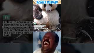 Tidak Cuma Lucu Panda Juga Baik Hati lucu pendek