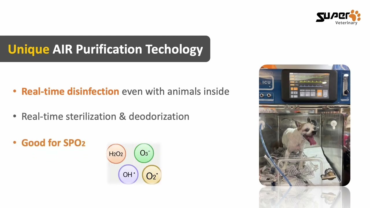 SuperVet Smart Animal ICU Cage (Super Air-C2)