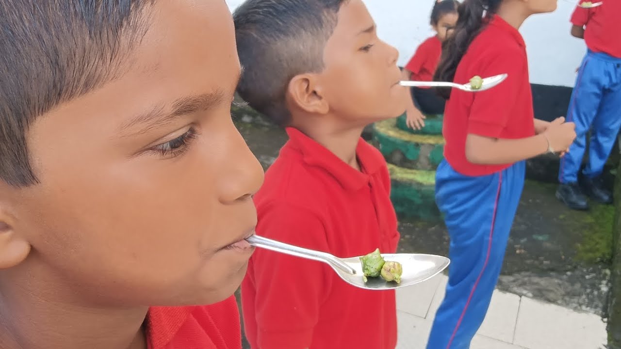 Pratibha Diwas – A Celebration of Talent and Creativity