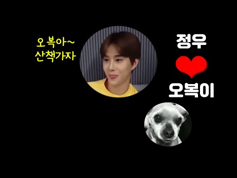[정우] 주기적으로 봐줘야 하는 오복이 모먼트🐶  (언급+흉내 내기)