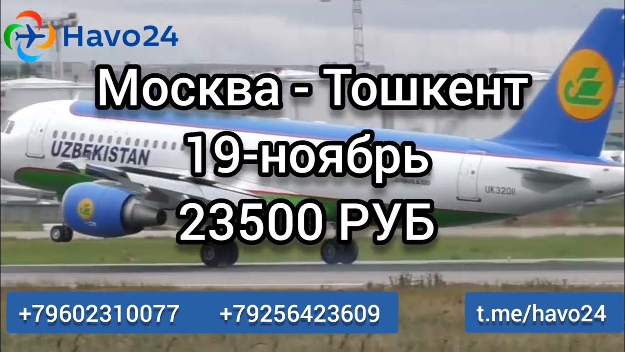 Авиабилеты узбекистан хаво. Авиабилеты москва самарканд дешево прямой рейс хаво. Авиабилеты. Москва самарканд рейс. Авиабилеты москва самарканд дешево прямой рейс хаво.