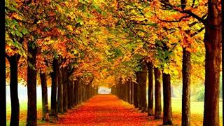 Bi̇r Eylül Geti̇rdi̇ Sevgi̇ni̇ Bana...