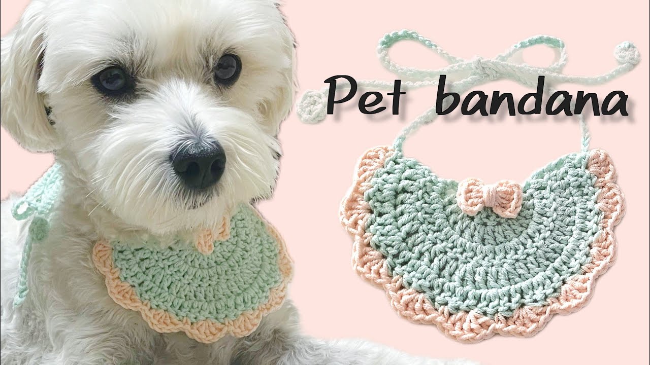 How to knit a pet bib for small dogs - YouTube